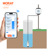 Capteur de niveau numérique sans fil submersible Moray ME202W Smart Home Tuya Smartlife APP avec affichage local personnalisable