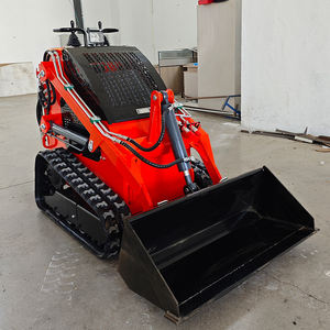 Chine Shandong Fabrication <span class=keywords><strong>Track</strong></span> Wheel Ce/Epa Mini Skid Steer Loader Avec Attachement 300 Kg Chargeur Frontal Tracteur - Product Image 1