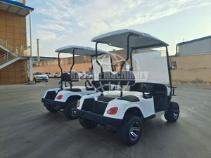 Voiturette de golf électrique personnalisable à grande vitesse, 4 places, moteur 48V 5KW, pneus de 14 pouces - Product Image 3