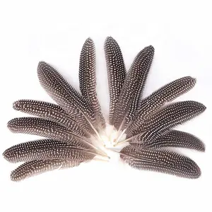 10 Pieces - Natural Black & White Polka Dot Guinea Fowl Wing Quill Feathers | Moonlight Feather