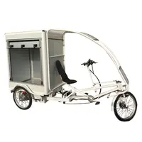 Assistente elétrico grande transporte comercial de carga bicicleta entrega de mercearia