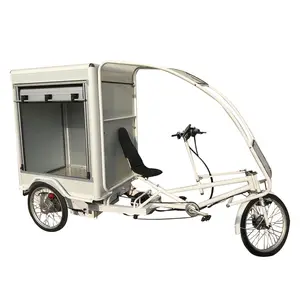 Electric Assistant Large Carrying Commercial Cargo Grocery Delivery Bike