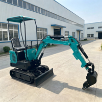 Mini Excavadora de Alta Calidad con Certificación EPA y CE, Multifuncional, Pequeña, de 2.5 Toneladas, en Venta
