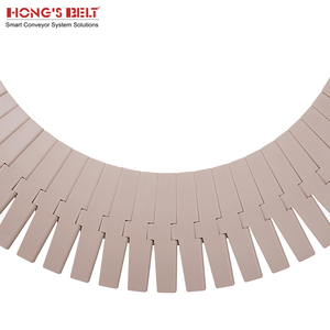 Hongsbelt HS-880-K450 fabrika fiyat plastik zincirler gıda ve içecek fabrikası için konveyör bant - Product Image 4