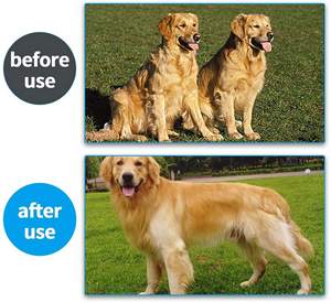 Sikat Anjing dan Sikat Kucing 2 Sisi Alat Perawatan Hewan Peliharaan untuk Deshedding Sikat Perawatan Hewan Peliharaan Terbaik untuk Berambut Sedang dan Panjang - Product Image 6