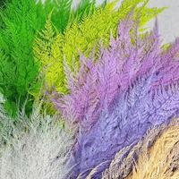 Grosir 10pcs/kantong Terlaris Bunga Segar Terawetkan Snow Fern untuk Dekorasi Rumah Natal Tahun Baru Imlek Hari Valentine