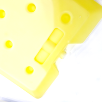 Brique de glace à changement de phase sensible à la température en PEHD, réutilisable, de qualité alimentaire, durable, écologique, avec logo personnalisé pour