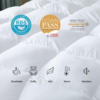 Couette épaisse et chaude en duvet de canard et d'oie blanc de qualité supérieure pour la maison et l'hôtel, taille double