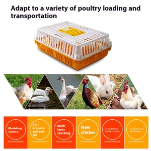 Cage de transport d'animaux en plastique extra large-Panier de retournement pour poulet canard oie lapin <span class=keywords><strong>pigeon</strong></span> avec un cadre pratique - Product Image 2