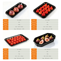Barquette alimentaire rectangulaire légère en PET, jetable, pour produits frais, qualité alimentaire, vente en gros, fournisseur OEM personnalisé, vente au détail