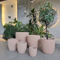 Ensemble de pots à fleurs en béton minimalistes, design circulaire, jardinières d'intérieur et d'extérieur pour plantes vertes et arbres