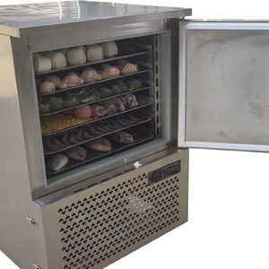 Mini congélateur commercial pour légumes - Stockage anti-humidité, idéal pour les petits restaurants et les marchés - Product Image 2