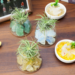 Kit de terrarium en <span class=keywords><strong>pierre</strong></span> brute de cristal naturel en gros pour plantes <span class=keywords><strong>a</strong></span>ériennes, idéal pour la décoration de bureau à domicile et comme cadeau de guérison spirituelle - Product Image 3