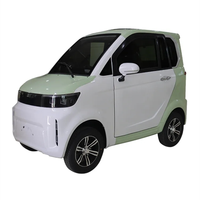 Mercado europeo Venta caliente L6E Tipo EEC COC Mini coche eléctrico para personas discapacitadas y mayores