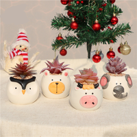Vente en gros Poterie Céramique Dessin Animé Animal Chat Hibou Renard Ours Cactus Pots De Fleurs Pas Cher Mini Céramique Succulente Jardinière Pot De Fleur