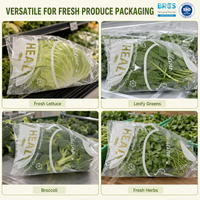 Food Grade Thick Double Layer BOPP Anti-Fog Shrink Bag with Self Adhesive Custom Logo Option for Vegetable and Sushi Packaging