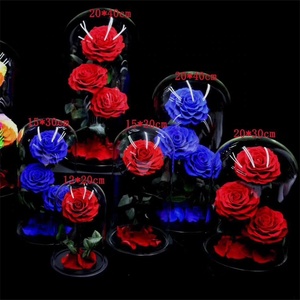 Roses éternelles sous dôme de verre, 7/lot, fausses fleurs, pour un cadeau, vente en gros, <span class=keywords><strong>2021</strong></span> - Product Image 2