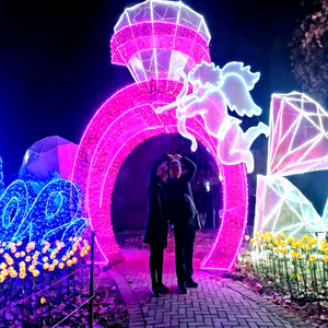 Arche de Noël en métal avec éclairage LED pour parcs extérieurs, rues commerciales, événements et expositions de fin d'année - Product Image 1