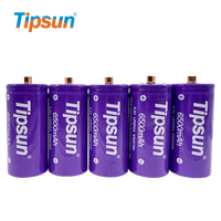 Cellule de batterie Lifepo4 prismatique Tipsun 32700 3.2v 6500mAh pour batteries de voitures électriques, livraison DDP