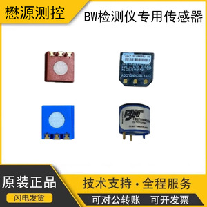 Détecteur de gaz 4-en-1 Honeywell BW SR-X2V, capteur d'oxygène, capteurs de sécurité - Product Image 5