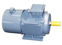 Moteur électrique triphasé ML802-4 0,75KW 1HP 1450RPM 4 pôles 50HZ 230V antidéflagrant résistant aux hautes températures et à l'humidité élevée