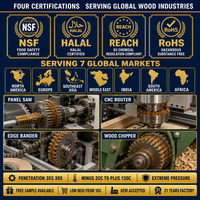 Graisse anti-bruit pour machines à bois EP NLGI 0, pénétration 355 385, pour scie à panneaux, routeur CNC, scie à ruban, engrenages, NSF, HALAL