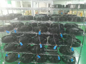 305mm 12IN ABL510 Spal 원래 콘덴서 팬 Vll 브러시리스 <span class=keywords><strong>DC</strong></span> 팬 - Product Image 5