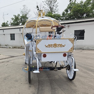 Carruaje de Lujo a Precio Económico, Carruaje Europeo para Bodas, Carruaje de Calabaza para Paseos Turísticos, Magnífica Decoración para Fiestas, Carruaje de Caballos - Product Image 5