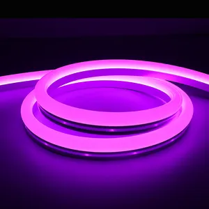 Neon Led Light 30led/60led waterproof IP68 R/G/B digital RGB neon led strip 12v/24v nightclub decoration