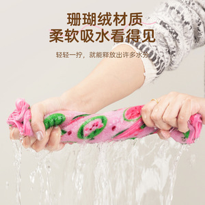 Coral Fleece Dishcloth 30x30cm Moisture Absorbent Kitchen Cleaning Cloth For Pots And Pans - Product Image 1