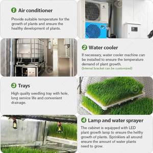 เครื่องปลูกพืชไฮโดรโปนิกส์สำหรับผลิตอาหารสัตว์ ราคาประหยัด สำหรับปลูกพืชขนาดเล็ก เช่น หญ้าเขียว ผัก และพืชอื่นๆ ในภาชนะ - Product Image 4