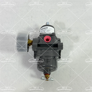 Filtre d'alimentation pour instrument à action directe 67CFR-206, adapté au montage ou à la réduction de pression - Product Image 4