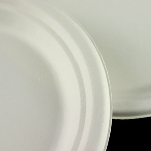 <span class=keywords><strong>Assiette</strong></span> en papier jetable écologique en canne à sucre blanche ronde <span class=keywords><strong>pour</strong></span> pizza, poulet, etc. Emballage <span class=keywords><strong>pour</strong></span> la restauration rapide, vente en gros, à <span class=keywords><strong>emporter</strong></span> - Product Image 5