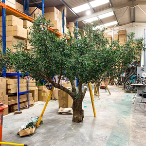 3M 4M 5M Grande plante artificielle <span class=keywords><strong>de</strong></span> simulation d'<span class=keywords><strong>olivier</strong></span> en <span class=keywords><strong>pot</strong></span> avec tronc en plastique détachable <span class=keywords><strong>pour</strong></span> la décoration intérieure - Product Image 3