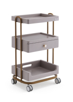 Chariot de beauté de haute qualité, chariot à roulettes pour la beauté, la maison, la chambre, l'esthétique, le maquillage et les soins de la peau