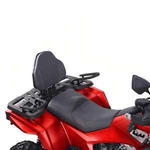 Quad 300cc monocylindre à transmission manuelle <span class=keywords><strong>4x4</strong></span> uniaxiale, idéal pour l'aventure tout-terrain extrême dans les bouets et le sable. - Product Image 6