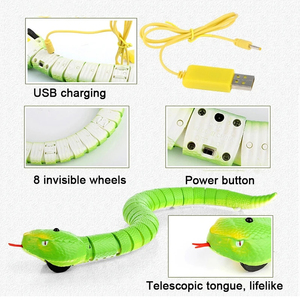 Jouet <span class=keywords><strong>serpent</strong></span> <span class=keywords><strong>télécommandé</strong></span> RC <span class=keywords><strong>pour</strong></span> <span class=keywords><strong>chat</strong></span>, chaton, manette en forme d'oeuf, <span class=keywords><strong>serpent</strong></span> à sonnette interactif, jouet <span class=keywords><strong>pour</strong></span> enfant - Product Image 4