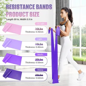 Custom Workout Bands Set for 3 5 Double Layer Color Eco-friendly Elastic Latex Gym Resistance Exercise Bands