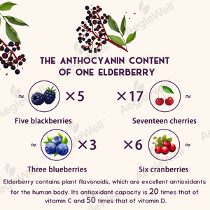 Aeglewell <span class=keywords><strong>Capsules</strong></span> de zinc pour adultes, complément alimentaire pour le soutien immunitaire, booster antioxydant, <span class=keywords><strong>capsules</strong></span> de sureau - Product Image 3