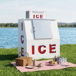 Glacière stable de qualité supérieure avec porte inclinée pour la vente au détail de glace en sac, idéale pour l'extérieur, à prix abordable - Product Image 1
