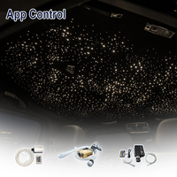 Kit de Plafonnier LED pour Voiture Effet Ciel Étoilé 500/1000 Pièces, Fournisseur de Lumières Intérieures RGB 5W 16W 18W à Fibre Optique pour Voiture