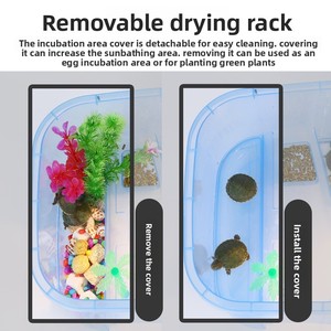 Petit aquarium rectangulaire <span class=keywords><strong>pour</strong></span> tortues, grande plateforme de basking, <span class=keywords><strong>terrarium</strong></span> aquatique, boîte d'élevage vivant - Product Image 6