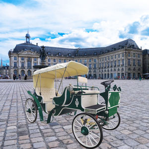 Calèche de style Victoria Queen confortable pour les fêtes, calèche électrique phénoménale pour les séances photo - Product Image 3