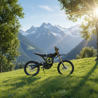 Sutton Sur Ron Surron Light Bee X Black Edition 2026 Dirt Ebike Vélo Électrique Tout-Terrain Pas Cher en Stock à Vendre