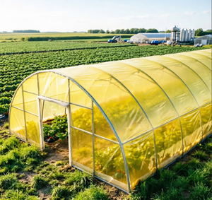 Film <span class=keywords><strong>de</strong></span> <span class=keywords><strong>serre</strong></span> jaune stabilisé aux UV 6MIL <span class=keywords><strong>pour</strong></span> l'agriculture, la fleuriculture, la protection contre la pluie, bâche en <span class=keywords><strong>plastique</strong></span> - Product Image 1