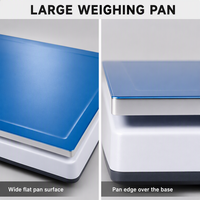 Báscula Industrial de Banco con Capacidad de 30 kg, Transferencia de Datos por USB, Plato Grande y Pantalla Retroiluminada para Logística y Control de Inventario