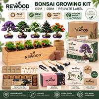 Kit de culture de bonsaï en gros avec boîte de plantation en bois, 5 variétés de graines, kit de démarrage DIY