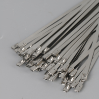 Attaches de câble autobloquantes en acier inoxydable 304 résistantes aux hautes températures, blanches, 12*2000mm, modèle de fixation de tuyaux de la marque JINNYE