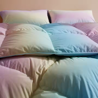 Haute qualité Ultra doux chaud confortable coloré 3 pièces ensemble de draps adapté à la maison chambre Textile à la maison drap de lit élastique
