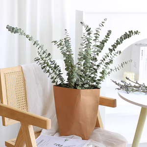 Yeni ürün 100% doğal okaliptüs yaprakları kurutulmuş yeşillik korunmuş okaliptüs bitki kaynaklanıyor ev/düğün süslemeleri - Product Image 5